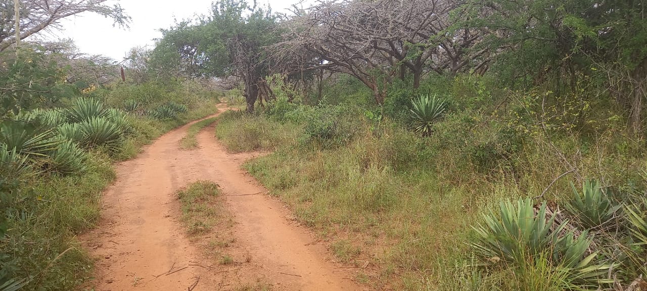 Makindu, SGR station